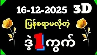 3D-ကြိမ်အတွက် ထွက်ရန်အားကောင်းသော (16.12.2025)
