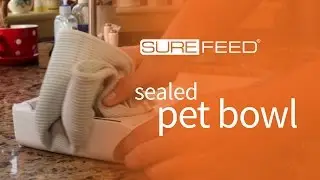 Cleaning the SureFeed Sealed Pet Bowl