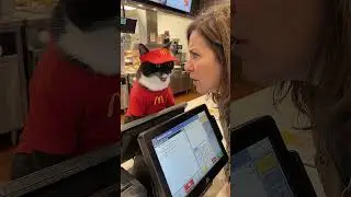 Cat Working At McDonald's Cash Register Gets Order Wrong