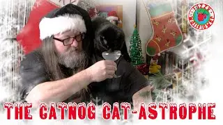 My Cats Try Catnog for the First Time