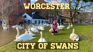 VISIT WORCESTER CITY OF SWANS| ENGLAND, UK| TRAVELERS| TRAVEL GOAL 2020
