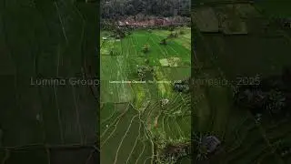 #Bali #Ubud #BaliInvestment #BaliRealEstate #UbudBali #BaliProperty #BaliLiving #InvestInBali