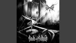 Let There Be Rot