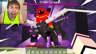 Minecraft, But You Can Fly Every Mob...