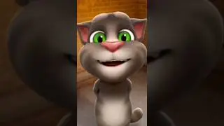 Phool Khilte Hain Padh Padh ke Salle Ala #cat #new #naatsharif #viral