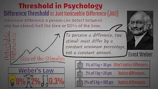 Threshold in Psychology || Absolute Threshold || Difference Threshold Psychology Definition