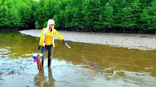 Good day catching mud crabs in the mangrove forest ​| Fisherman life