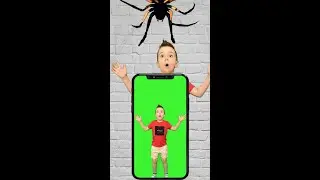 Yes Fruits No Insects Game | #Shorts Tutorial by Alex Kids