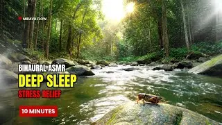 [DEEP SLEEP 10 MIN] Foggy Tropical River: Insomnia Relief & Stress Gone
