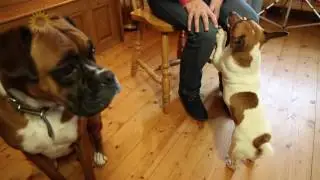 Still Kathy - Part 1 My Journey To Dementia