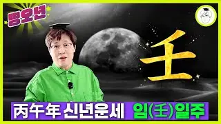 병오년 신년운세 - 임일주