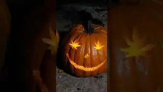 вырежьте тыкву вместе со мной 🍃🎃