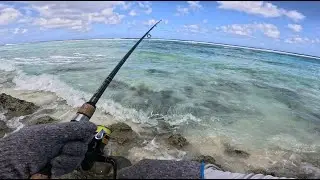 Beach Fishing Mission &ndash; Can I Land a Monster? (Pre-Recorded Live) 🎣🌊