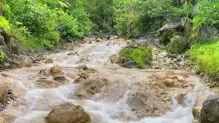 Deep Sleep River Sounds | Relaxing Water, Stress Relief & Sound Therapy