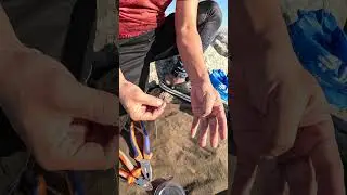 Treble hooks setup for live bait. #fishingvideos