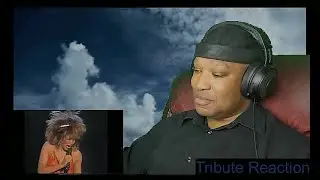 Tina Turner, A Tribute Reaction