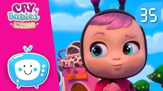 あなたの好きなCry Babiesは何ですか？ 🙌 ライベイビーズ 💦 マジックティアーズ 💕 CRY BABIES 💧 MAGIC TEARS 🌈 コレクションズ 📺