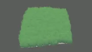 Maya mash grass