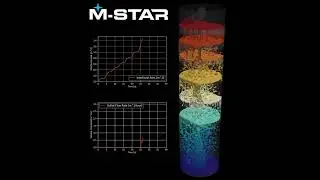 CFD Simulation of Column Mass Transfer System