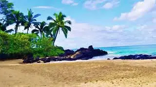 Take a Virtual Vacation with Our Stunning Beach Art Screensaver: 3 Hours of Relaxation |  No Sound