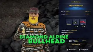 Diamond Alpine Bullhead Call of the wild The Angler
