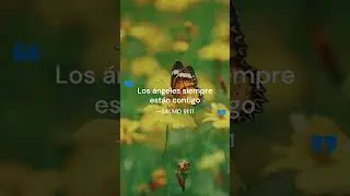 Dios te protege incluso cuando no lo ves SALMO 91:11 #frases #oracionescristianas #palabradios #DIOS