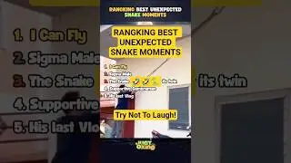 Top 5 FUNNIEST Snake Moments That Will Make You LAUGH OUT LOUD