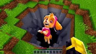SKYE PAW PATROL SE CAE EN UN AGUJERO EN MINECRAFT 😱