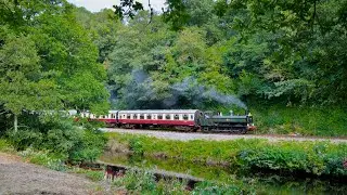 South Devon Railway August 2024