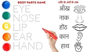 Body parts name in English and Hindi with pictures || Shobi study class 