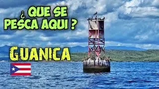 COMO PESCAR en las  COSTAS de GUANICA Puerto Rico | #Pescando en #Kayak