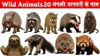Names of wild animals in English and Hindi with pdf | Wild Animals for Kids | जंगली जानवरों के नाम |