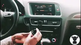 Pop Stand Car Mount