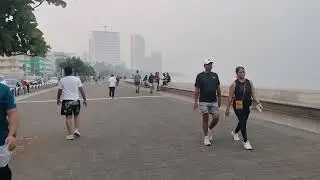 Marine drive morning view 30 january 2026