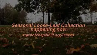 Seasonal Loose-Leaf Collection Underway