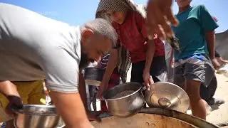 Displaced Palestinians desperate to eat crowd around volunteers distributing meals in Gaza