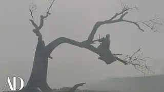 The Weather is a Main Character in Wuthering Heights