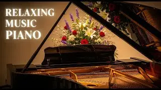 Relaxing Piano Music for Peaceful Focus 🌿 Gentle Piano Sounds for Reading and Studying