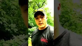 Spraying clover food plots