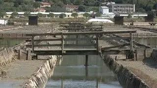 Ali ste vedeli z Valerijo in Sabino – Sečoveljske soline