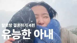 여자가 살림을 하니까... 고양이를 잘 찾아야죠