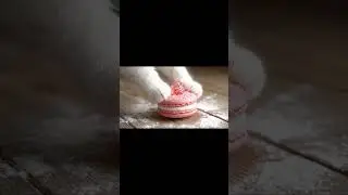 Cat&Macarons🐱🍓#ASMR #cat #癒し #fyp #veo #slime#strawberrys #macarons