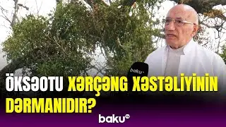 Alman həkimlərinin istifadə etdiyi nadir bitki | &Ouml;ksəotunun bilinməyən faydaları