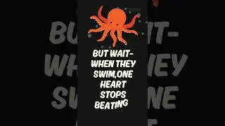 Facts  |  Veriverse  |  A Universes of Verified Facts  | 🎬 Title: Octopus Has 3 Hearts!🗣️