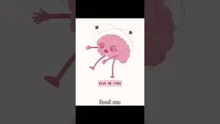 Stop Your Hunger NOW! The Ghrelin Hormone False Alarm. #shorts  #dailyscience #science #facts