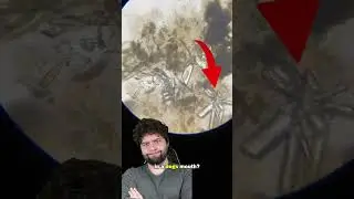 Пасть собаки чище, чем пасть человека?