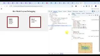 CSS Box Model || #css3