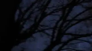 Daegan Journey - WAVCLUB