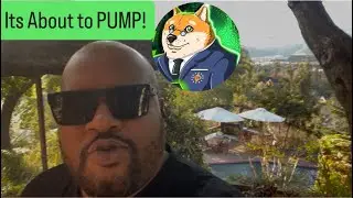 💎 Doge ETF OG&mdash;The Original Memecoin ETF That&rsquo;s About to Dominate! 🐕 