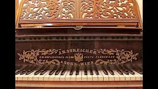 Carnaval, Op. 9 - Schumann - Live - Streicher fortepiano (Hammerfl&uuml;gel)